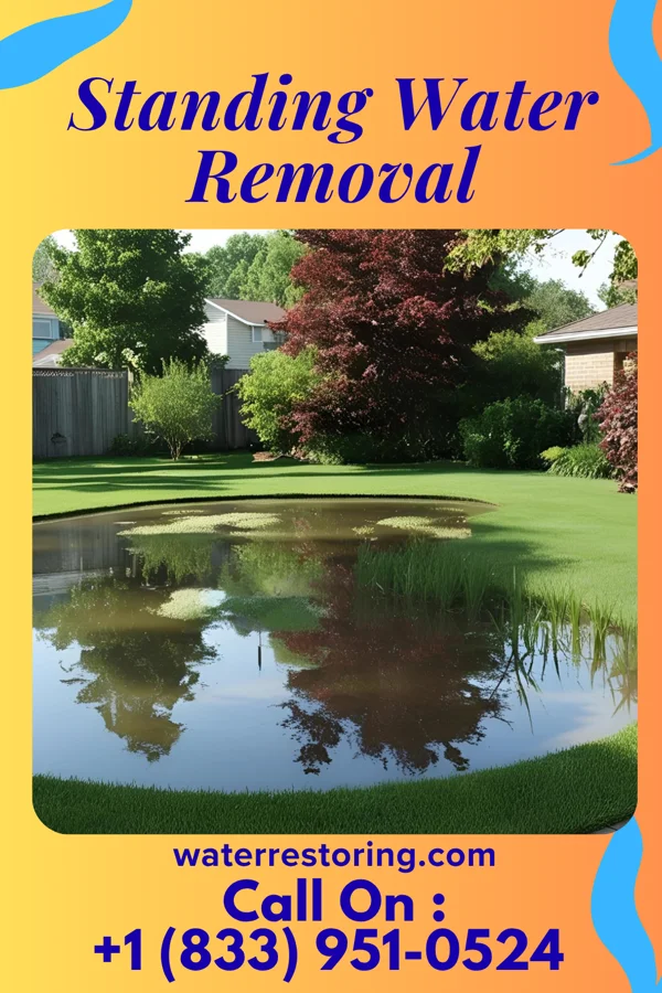 Standing Water Removal in Leawood, MO
